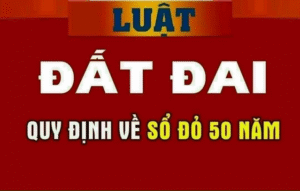 Sổ 50 năm