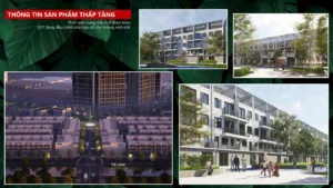 Nắm bắt Chính sách bán căn hộ thấp tầng The Lumia đợt đầu – Tối ưu dòng tiền, thanh toán linh hoạt